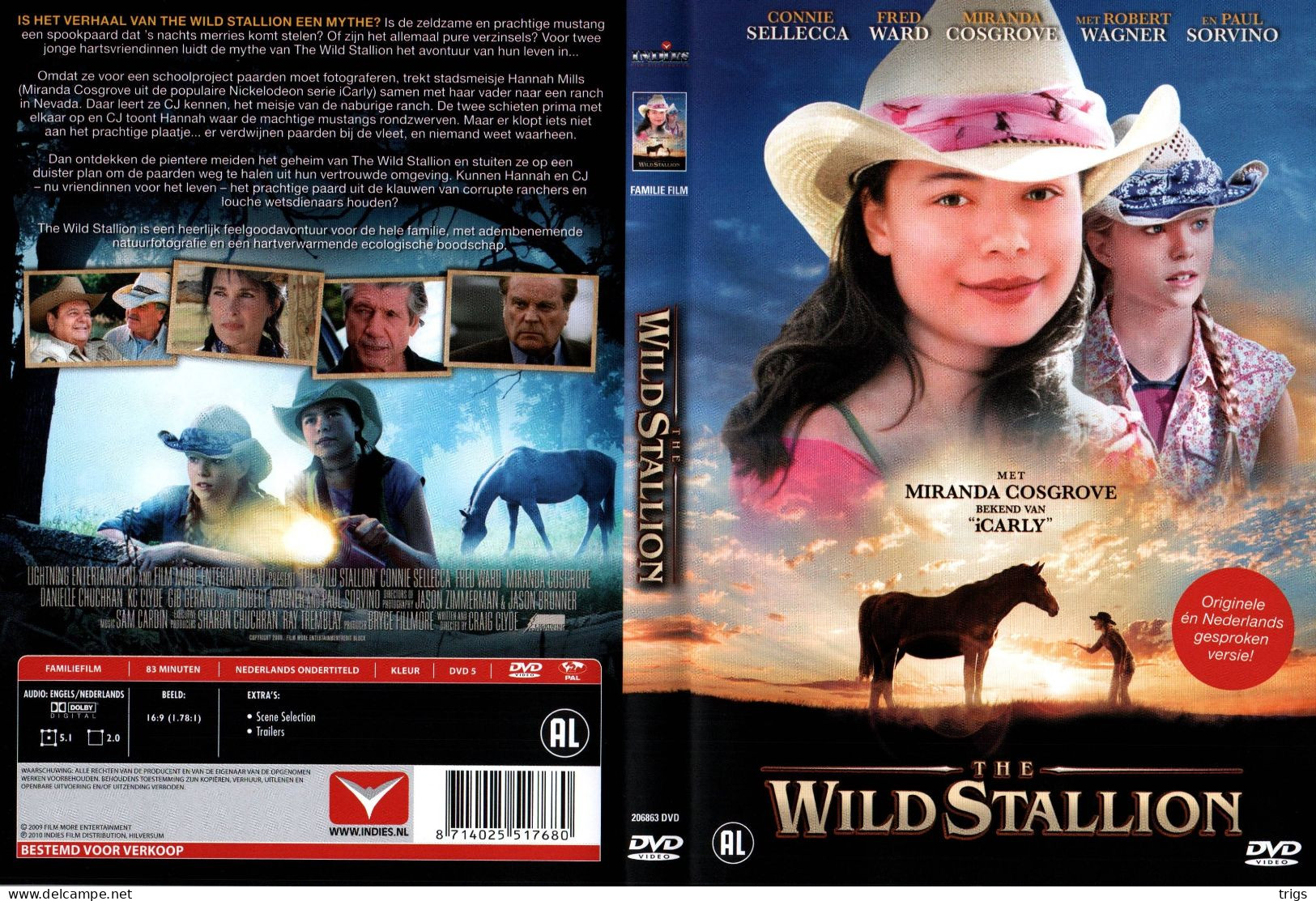 DVD - The Wild Stallion - Drame