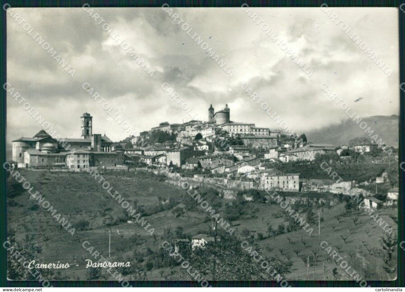 Macerata Camerino Foto FG Cartolina KF1836 - Macerata