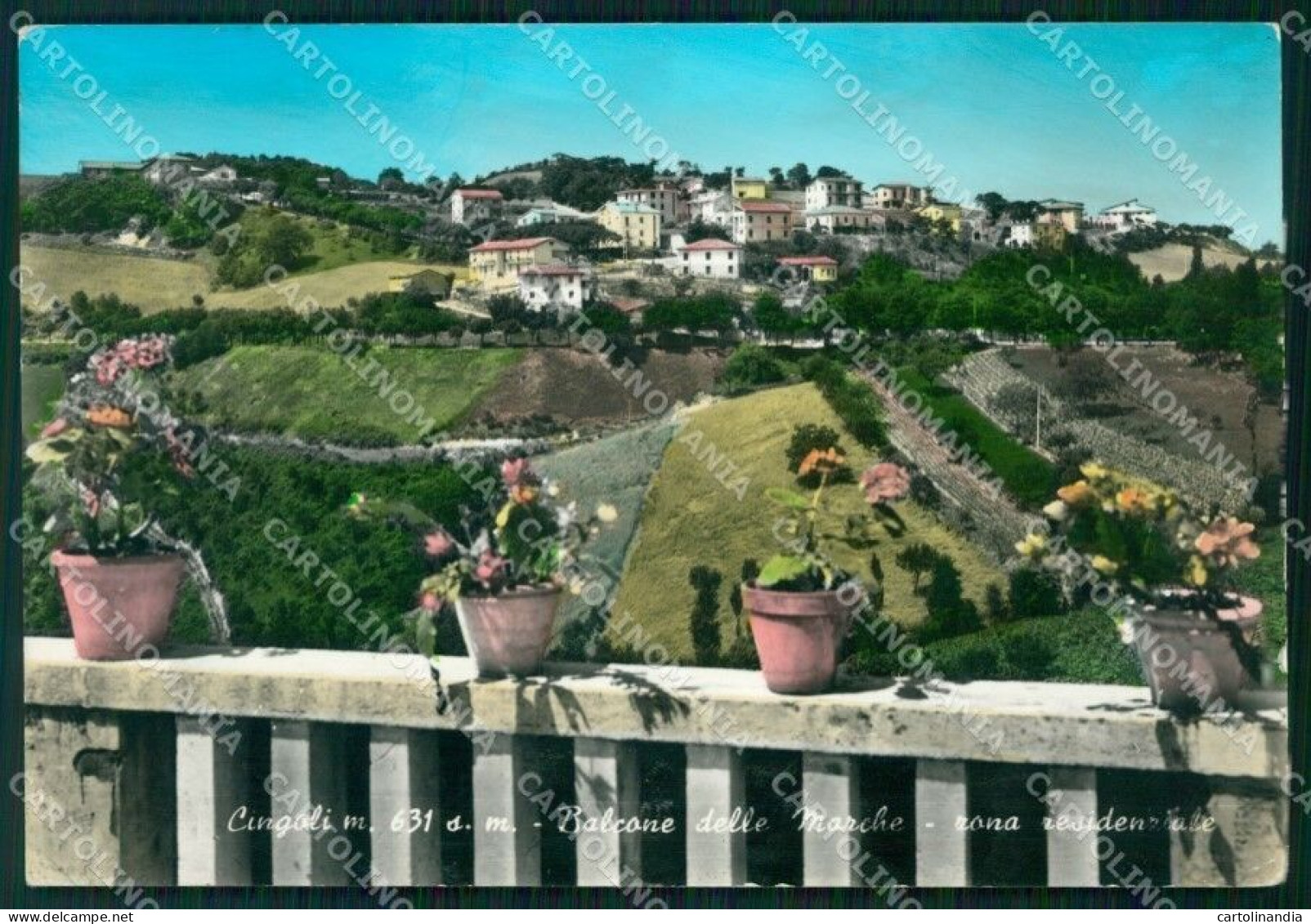 Macerata Cingoli Macerata Cingoli Foto FG Cartolina KF1949 - Macerata