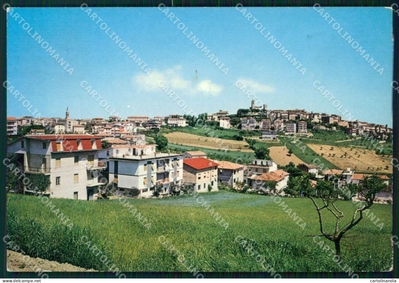 Macerata Mogliano Marche Foto FG Cartolina KF1944 - Macerata