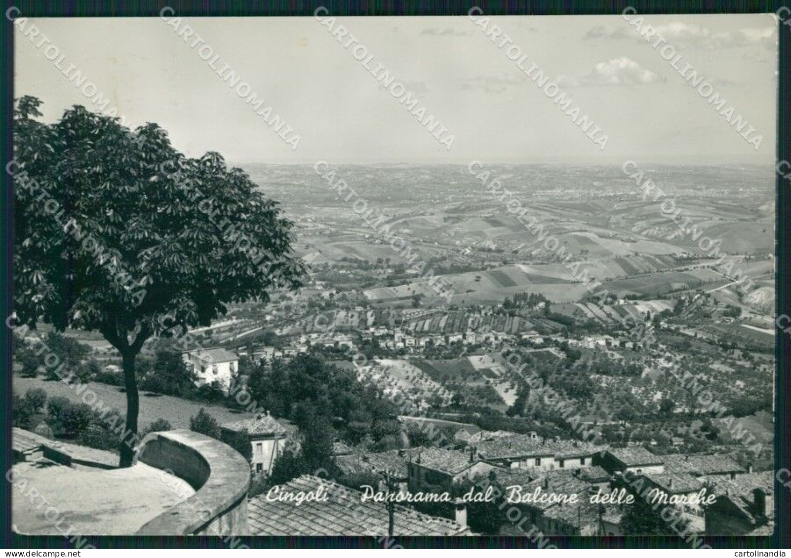 Macerata Cingoli Foto FG Cartolina KF1795 - Macerata