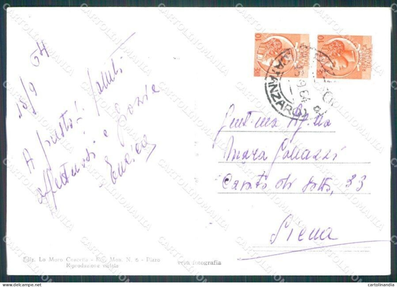 Vibo Valentia Pizzo Foto FG Cartolina KF1890 - Vibo Valentia