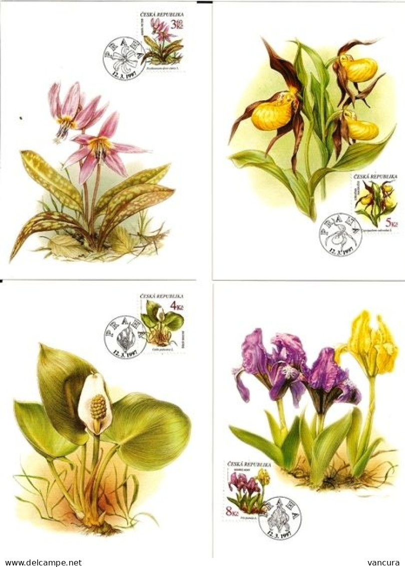 CM 134 - 7 Czech Republic Wild Flowers 1997 Orchid - Sonstige & Ohne Zuordnung
