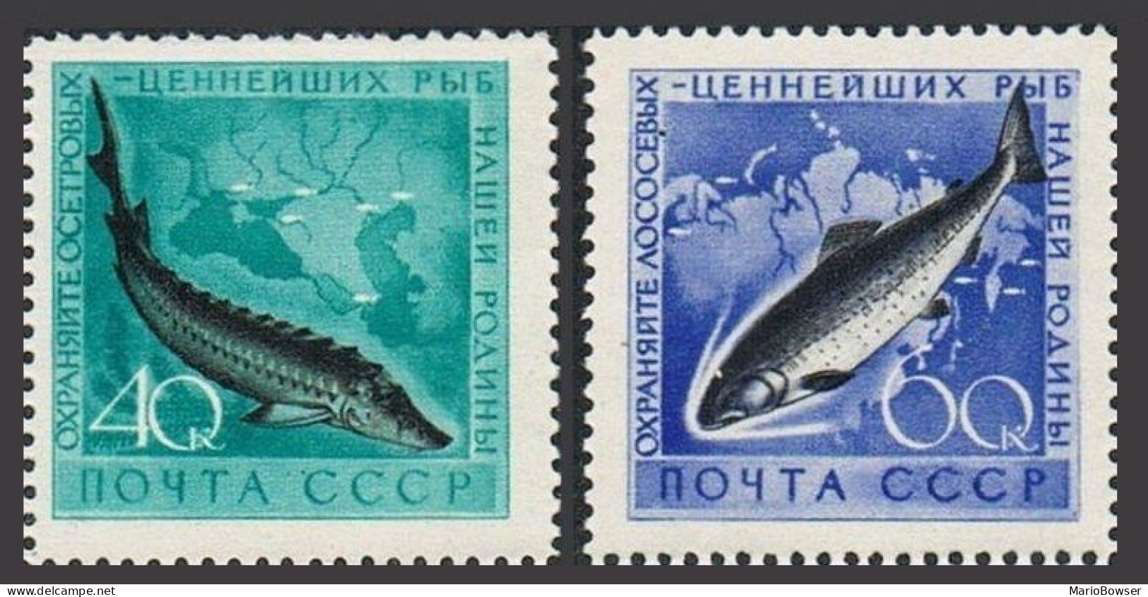 Russia 2222-2223, MNH. Michel 2244-2245. Fish 1959. Sturgeon, Chum Salmon. - Nuevos