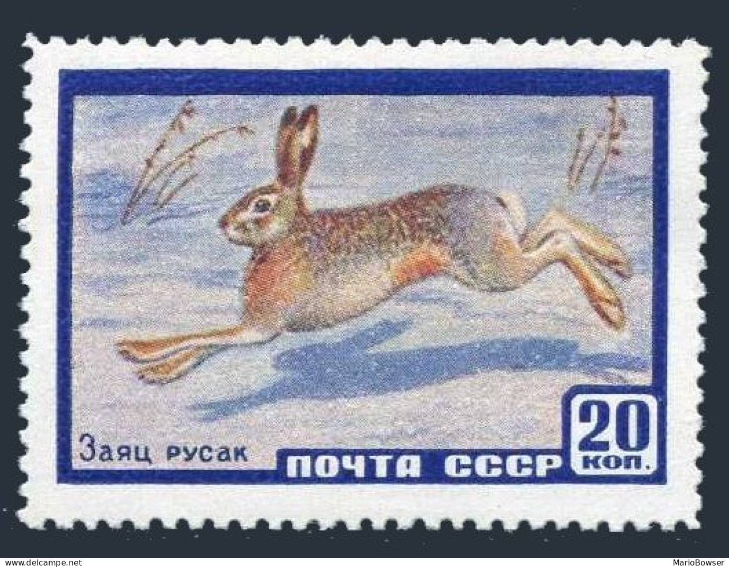 Russia 2213,MNH.Michel 2323. Fauna 1960.Hare. - Unused Stamps