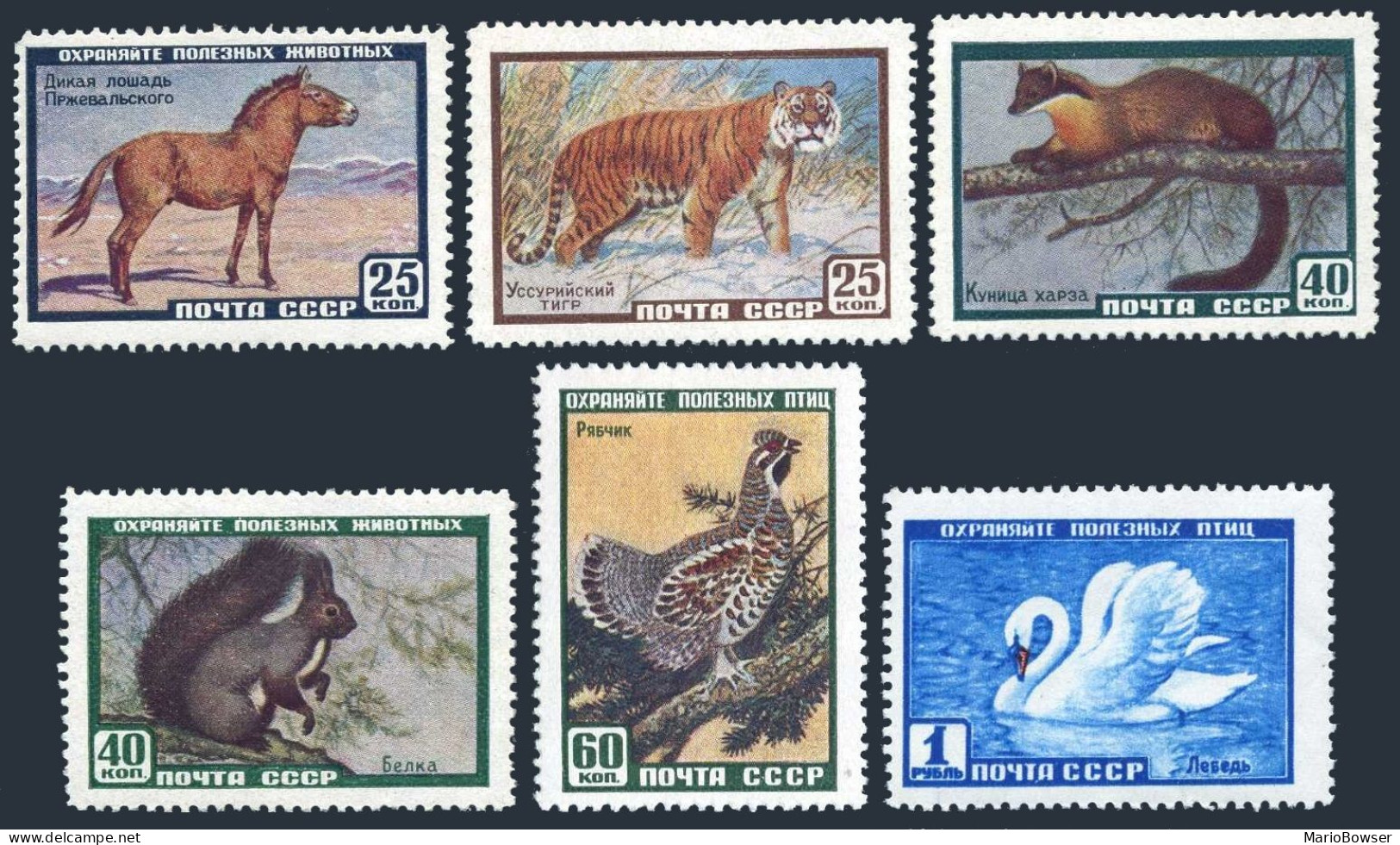 Russia 2214-2219,MNH. Siberian Horse,Tiger,Red Squirrel,Pine Marten,Hazel Hen,  - Ungebraucht