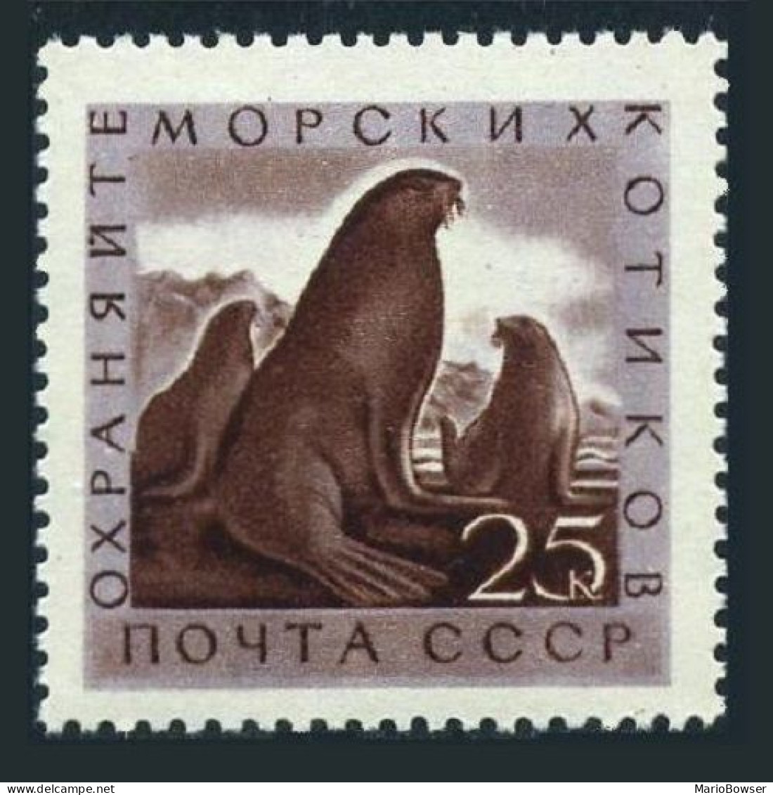 Russia 2376 Sheet/80, MNH. Michel 2386. Fur Seals. 1960.  - Ungebraucht