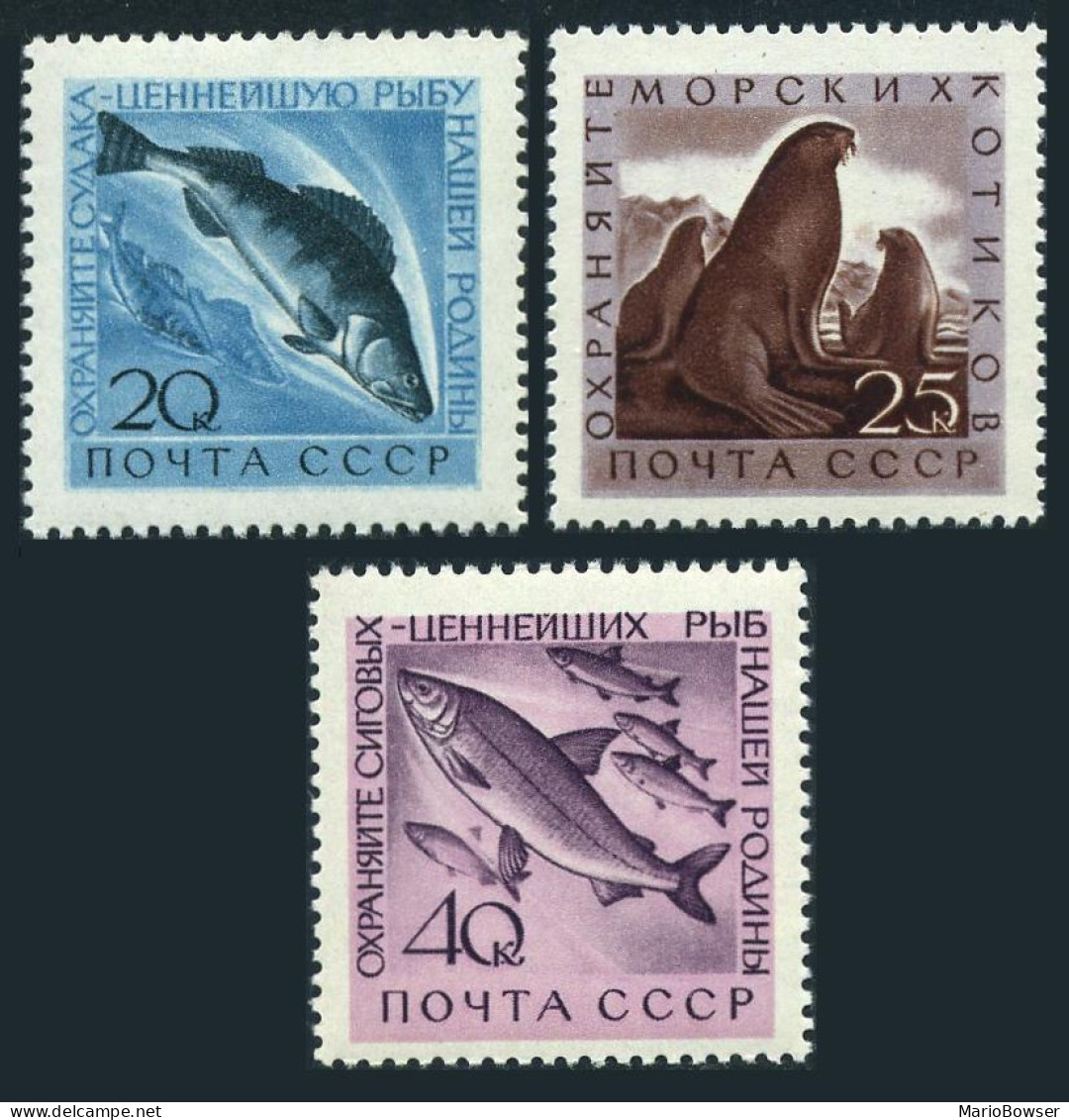 Russia 2375-2377, MNH. Michel 2385-2387. Pikepearsh, Fur Seals, Whitefish. 1960. - Unused Stamps