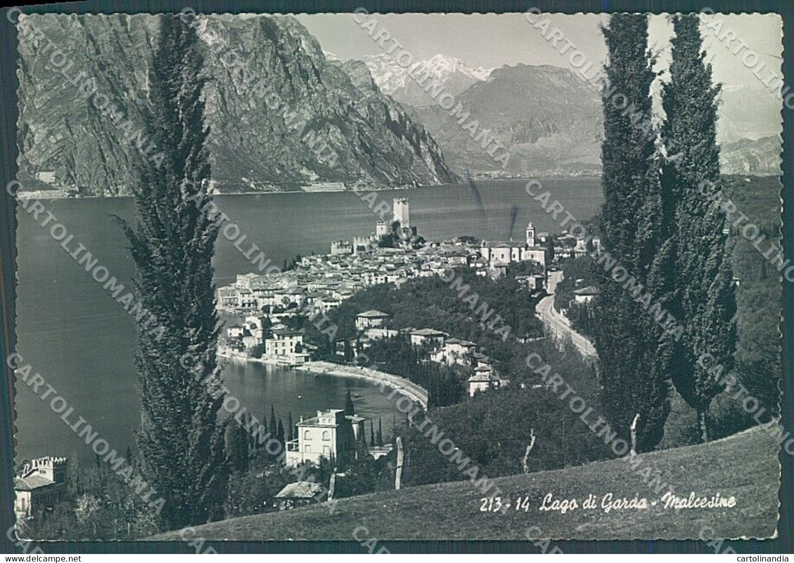 Verona Malcesine Lago Di Garda Foto FG Cartolina JK4616 - Verona