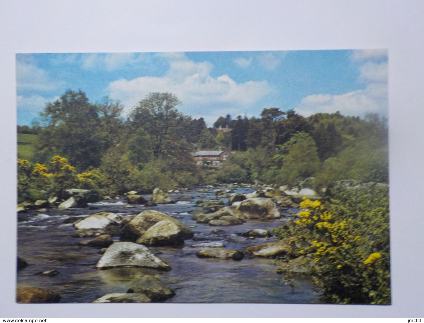 DARTMEET In Dartmoor Forest - Dartmoor