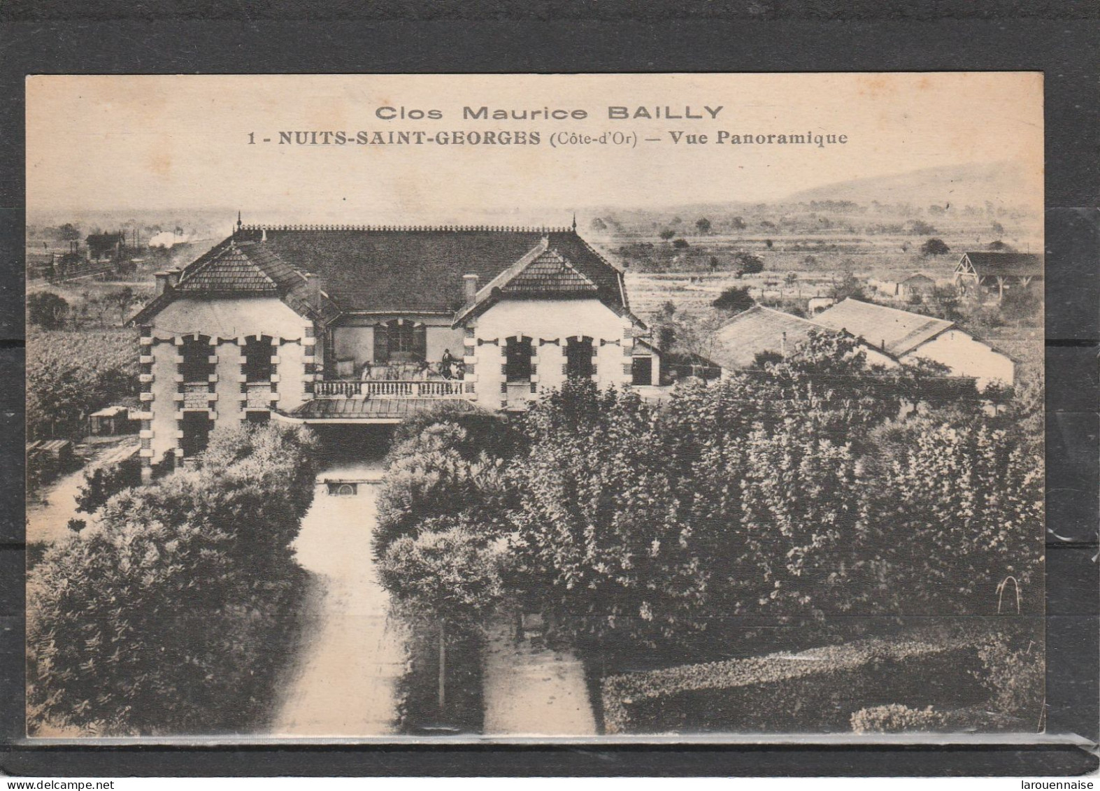 21 - NUITS SAINT GEORGES - Clos Maurice Bailly - Vue Panoramique - Nuits Saint Georges