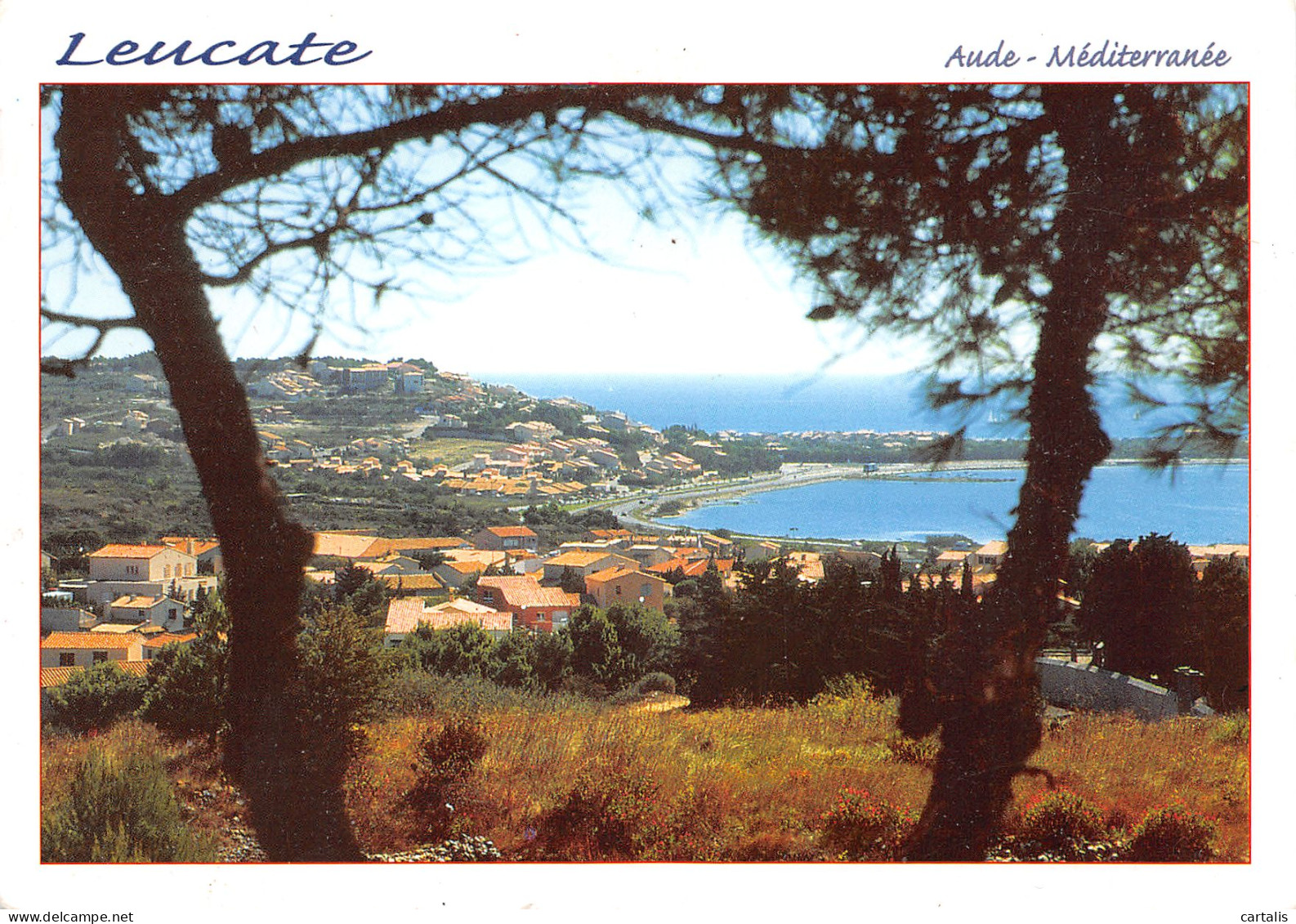 11-LEUCATE-N°3765-D/0363 - Leucate