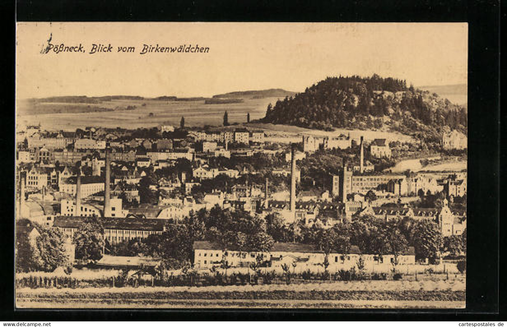 AK Pössneck, Blick Vom Birkenwäldchen  - Poessneck