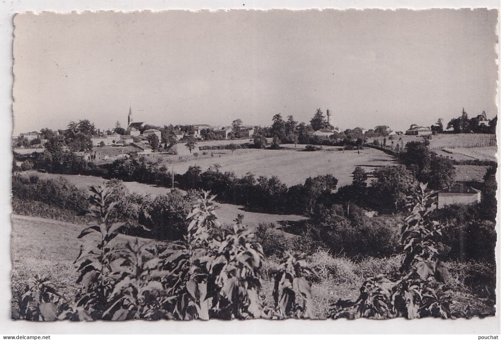 O5-47) LAROQUE - TIMBAULT (LOT ET GARONNE) VUE GENERALE  - ( 2 SCANS )  - Laroque Timbault