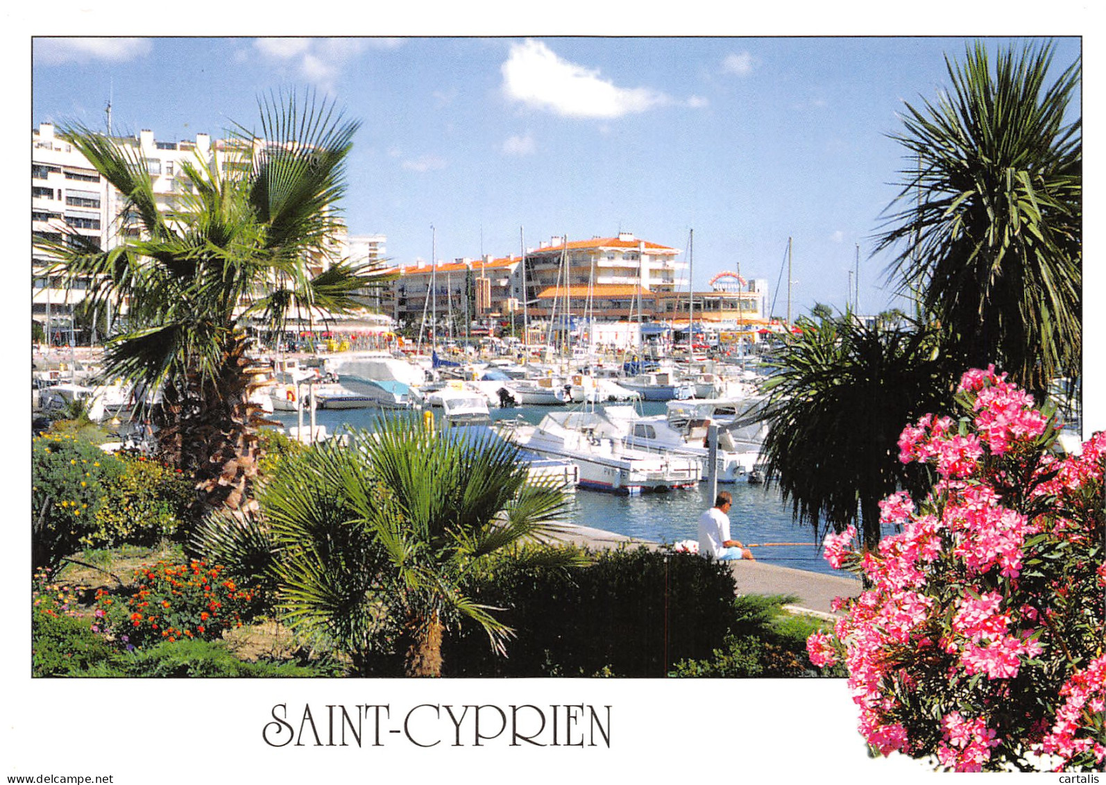 66-SAINT CYPRIEN PLAGE-N°3769-C/0095 - Saint Cyprien