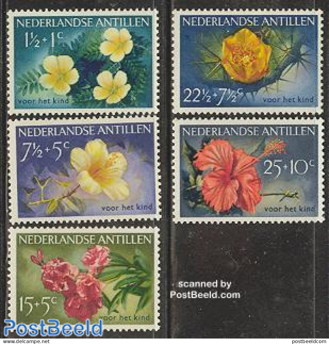 Netherlands Antilles 1955 Child Welfare, Flowers 5v, Mint NH, Nature - Cacti - Flowers & Plants - Sukkulenten
