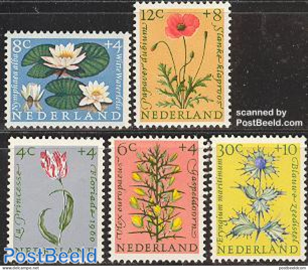 Netherlands 1960 Summer, Flowers 5v, Unused (hinged), Nature - Flowers & Plants - Ongebruikt