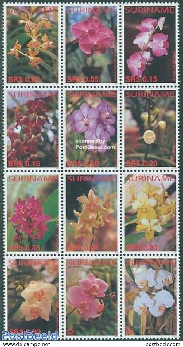 Suriname, Republic 2005 Orchids 12v Sheetlet, Mint NH, Nature - Flowers & Plants - Orchids - Surinam