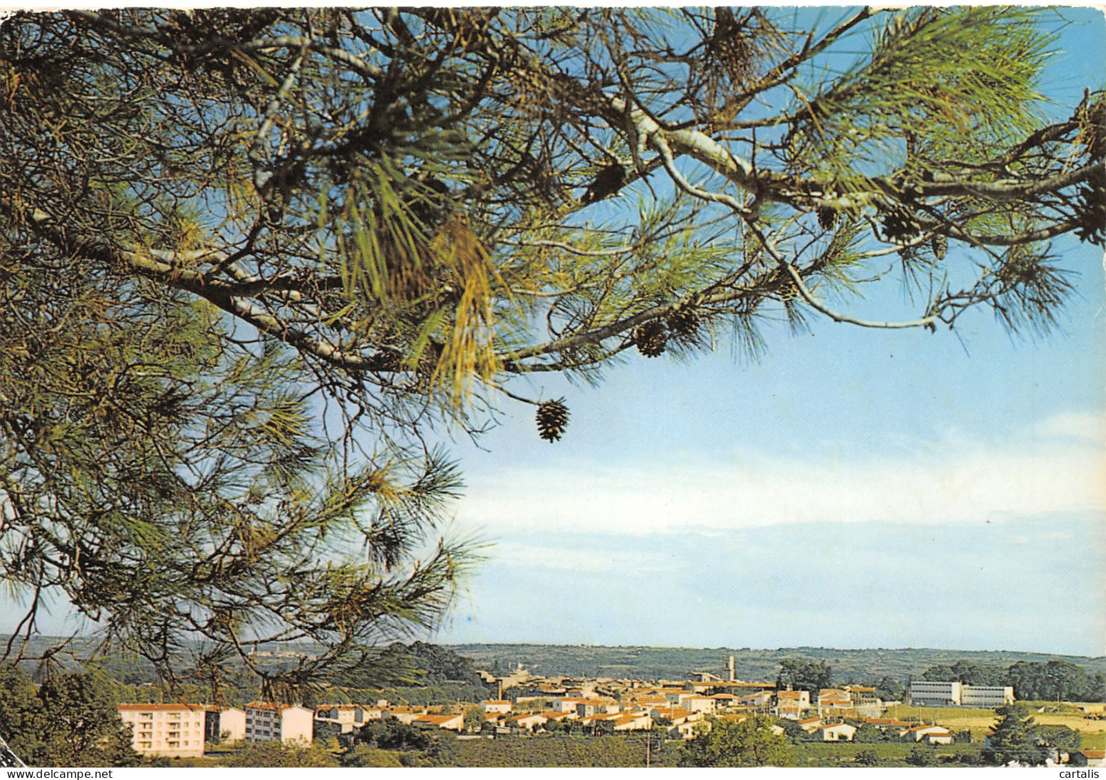 34-PEZENAS-N°3771-A/0213 - Pezenas