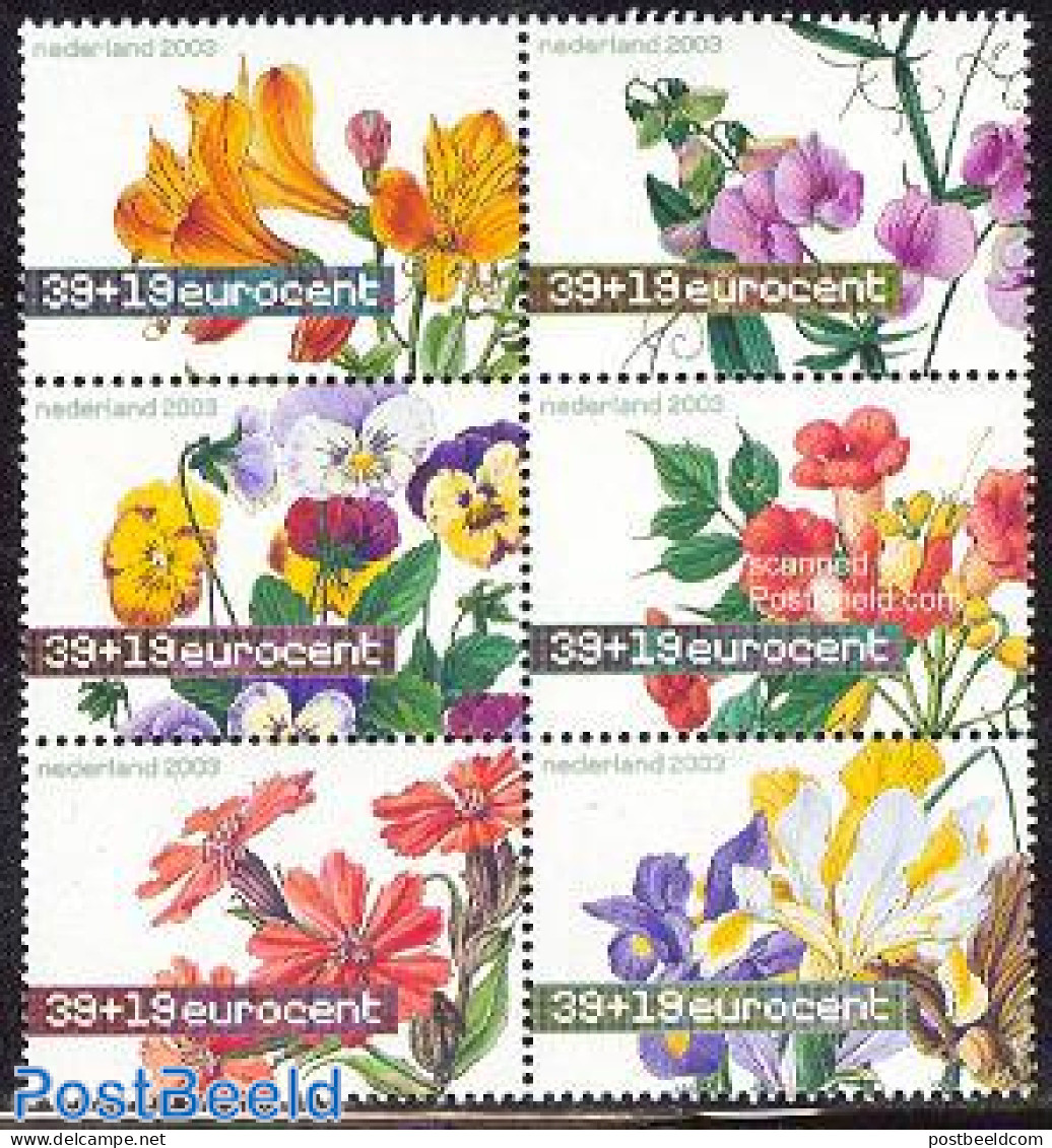 Netherlands 2003 Summer Welfare, Flowers 6v [++], Mint NH, Nature - Flowers & Plants - Nuevos