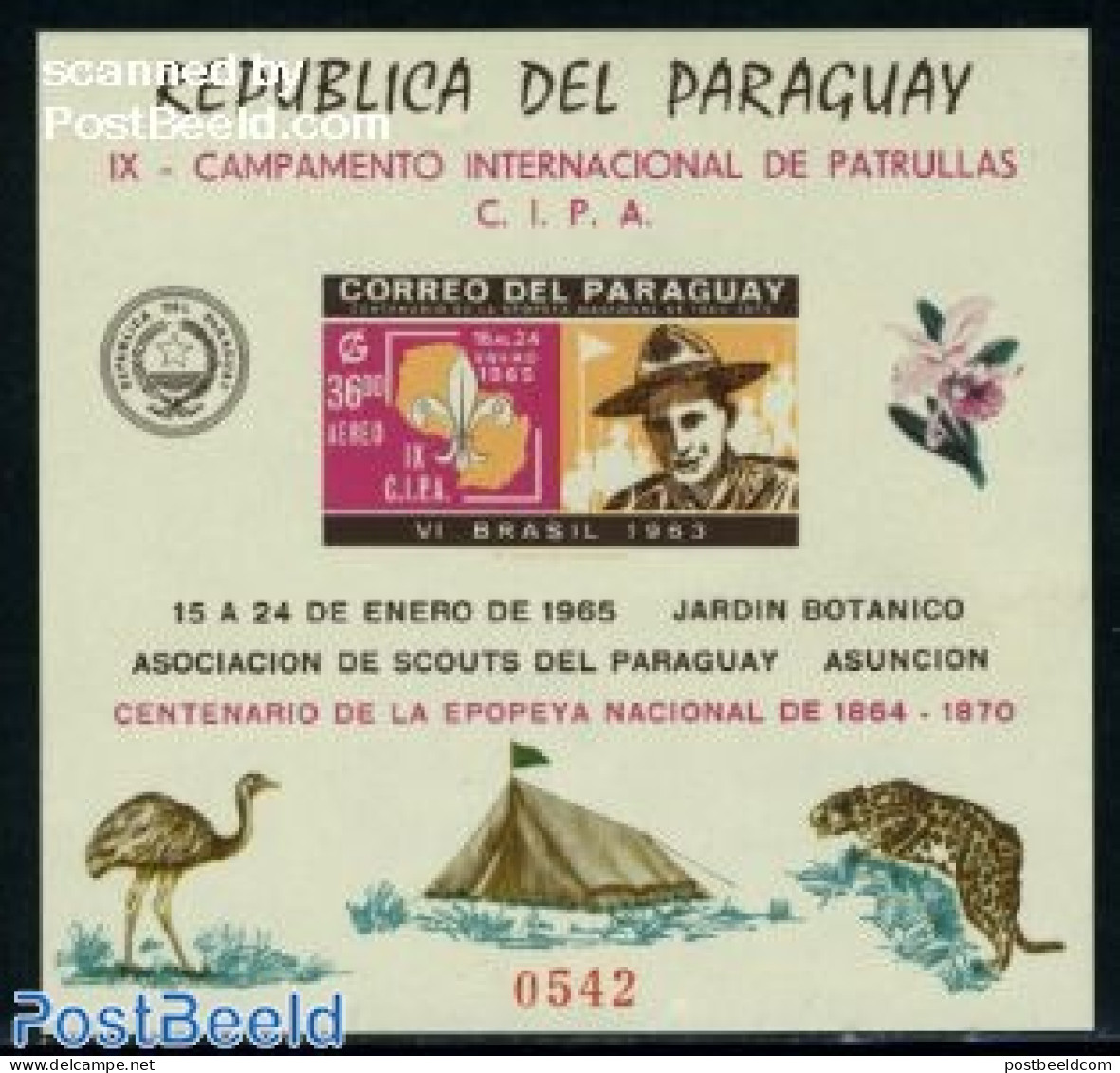 Paraguay 1965 Scouting S/s Imperforated, Mint NH, Nature - Sport - Various - Birds - Cat Family - Orchids - Scouting -.. - Géographie