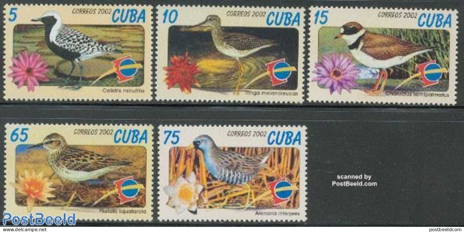 Cuba 2002 Espana, Birds 5v, Mint NH, Nature - Birds - Flowers & Plants - Philately - Nuovi