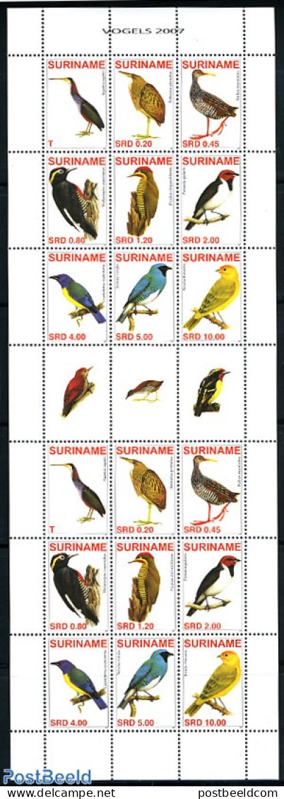 Suriname, Republic 2007 Birds 2x9v M/s, Mint NH, Nature - Birds - Surinam