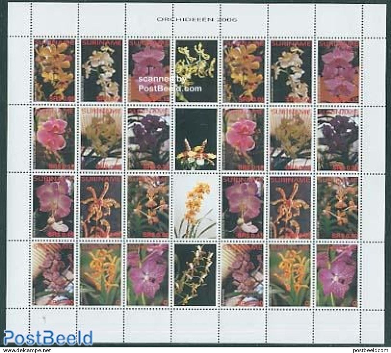 Suriname, Republic 2006 Orchids 2x12v M/s With Gutters, Mint NH, Nature - Flowers & Plants - Orchids - Surinam