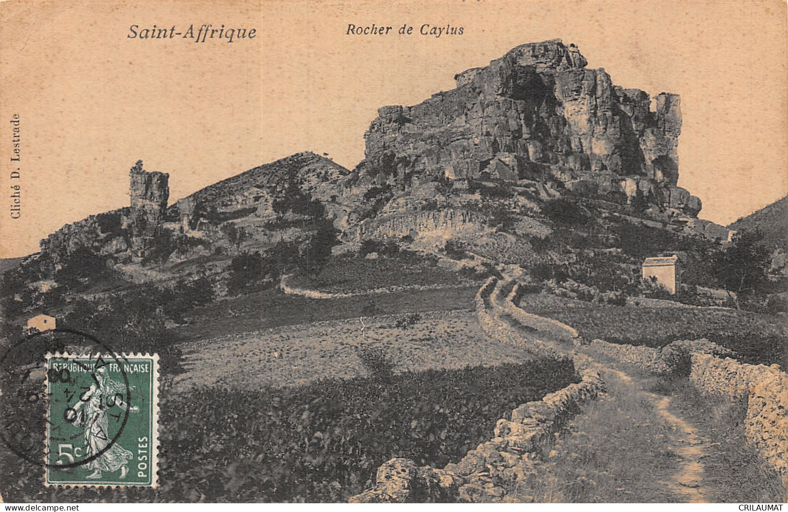 12-SAINT AFFRIQUE-N°LP5011-F/0083 - Saint Affrique