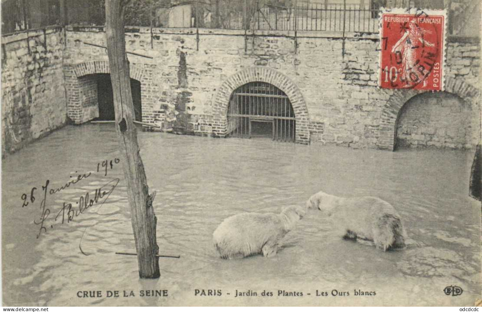 DESTOCKAGE Avant fermeture boutique T BON LOT 100 CPA  INONDATIONS DE PARIS 1910 Touies Animées  (toutes scannées )