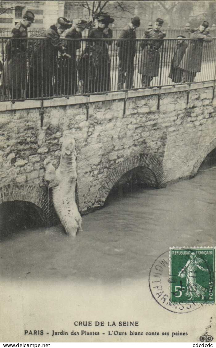 DESTOCKAGE Avant fermeture boutique T BON LOT 100 CPA  INONDATIONS DE PARIS 1910 Touies Animées  (toutes scannées )