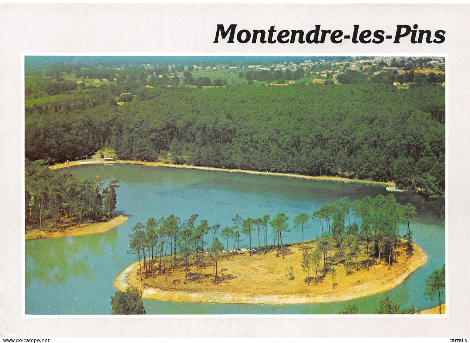 17-MONTENDRE LES PINS-N°4128-D/0001 - Montendre