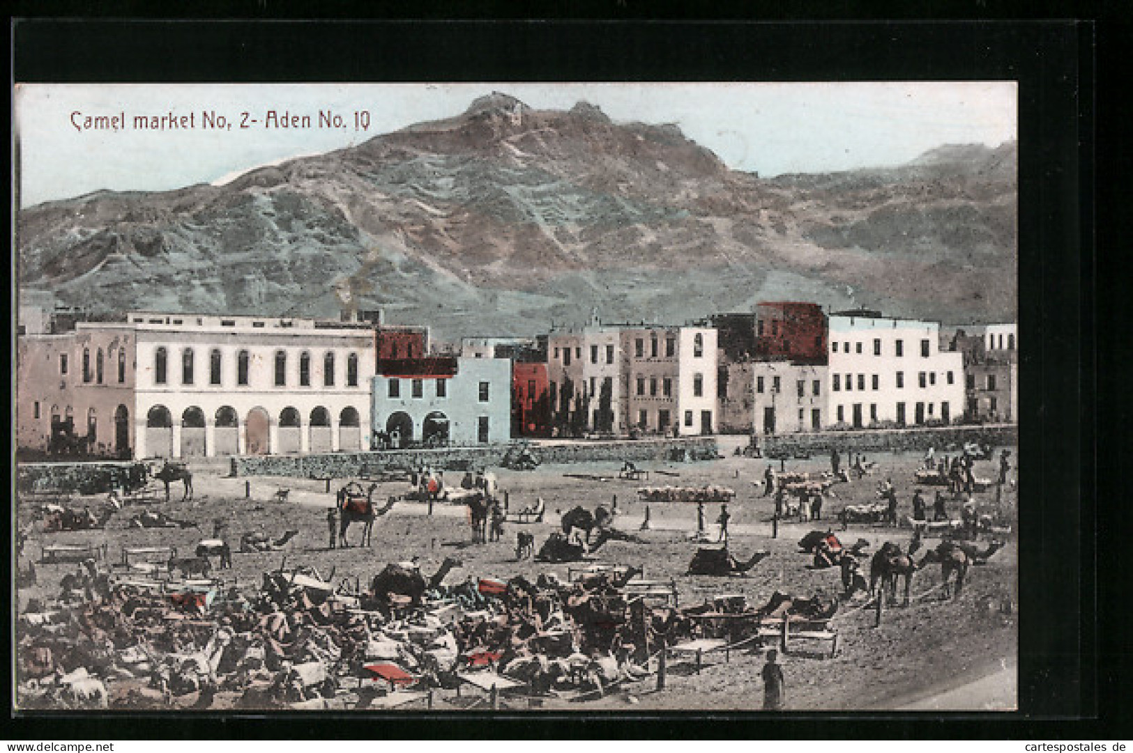 AK Aden, Camel Market  - Yemen