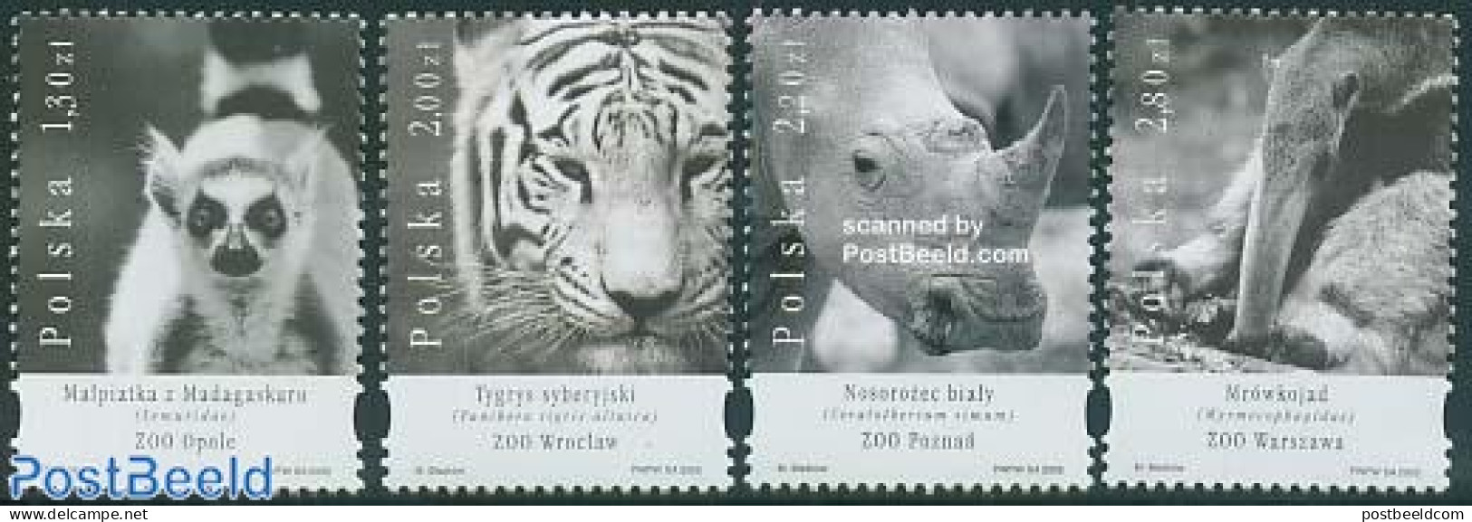Poland 2005 Zoo 4v, Mint NH, Nature - Animals (others & Mixed) - Cat Family - Rhinoceros - Nuevos