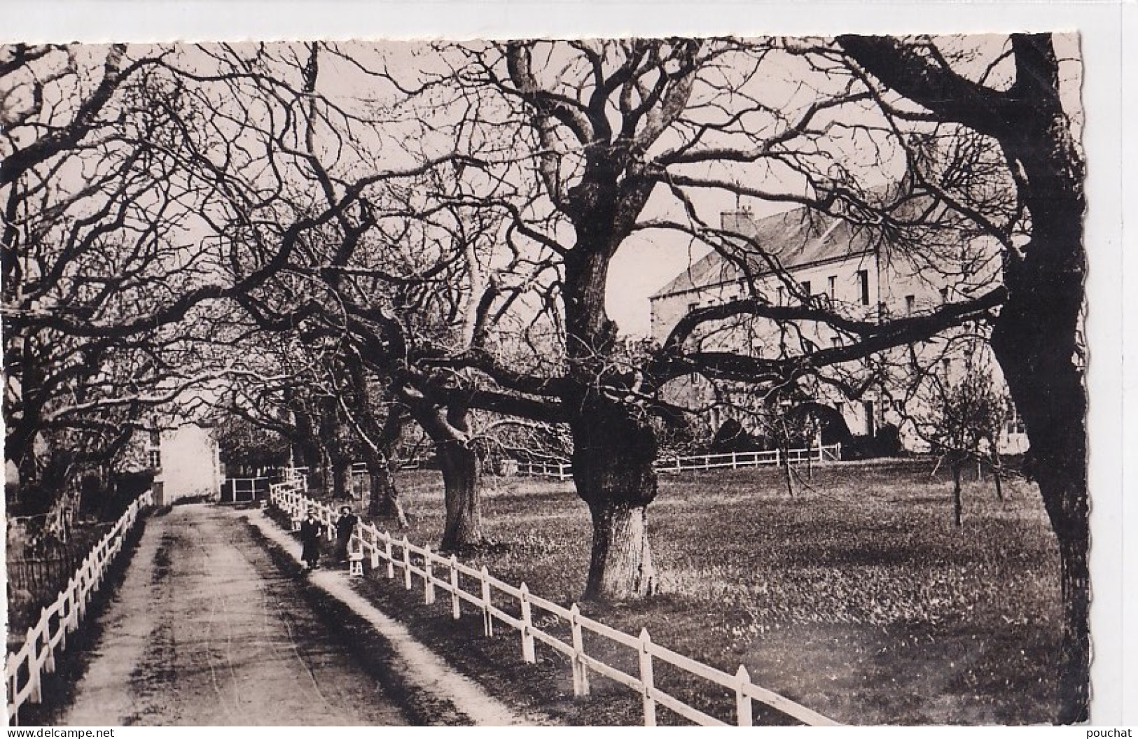 A13-44) LE PRIEURE DE PONT CHATEAU - AVENUE DES CHATAIGNIERS  - ANIMEE - ( 2 SCANS ) - Pontchâteau