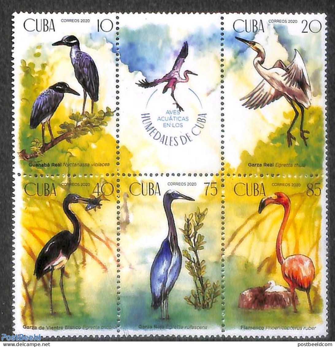 Cuba 2020 Wetland Birds 5v+tab [++], Mint NH, Nature - Birds - Flamingo - Ungebraucht