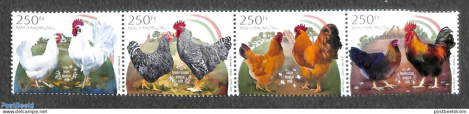Hungary 2023 Chicken 4v [:::], Mint NH, Nature - Birds - Poultry - Nuovi