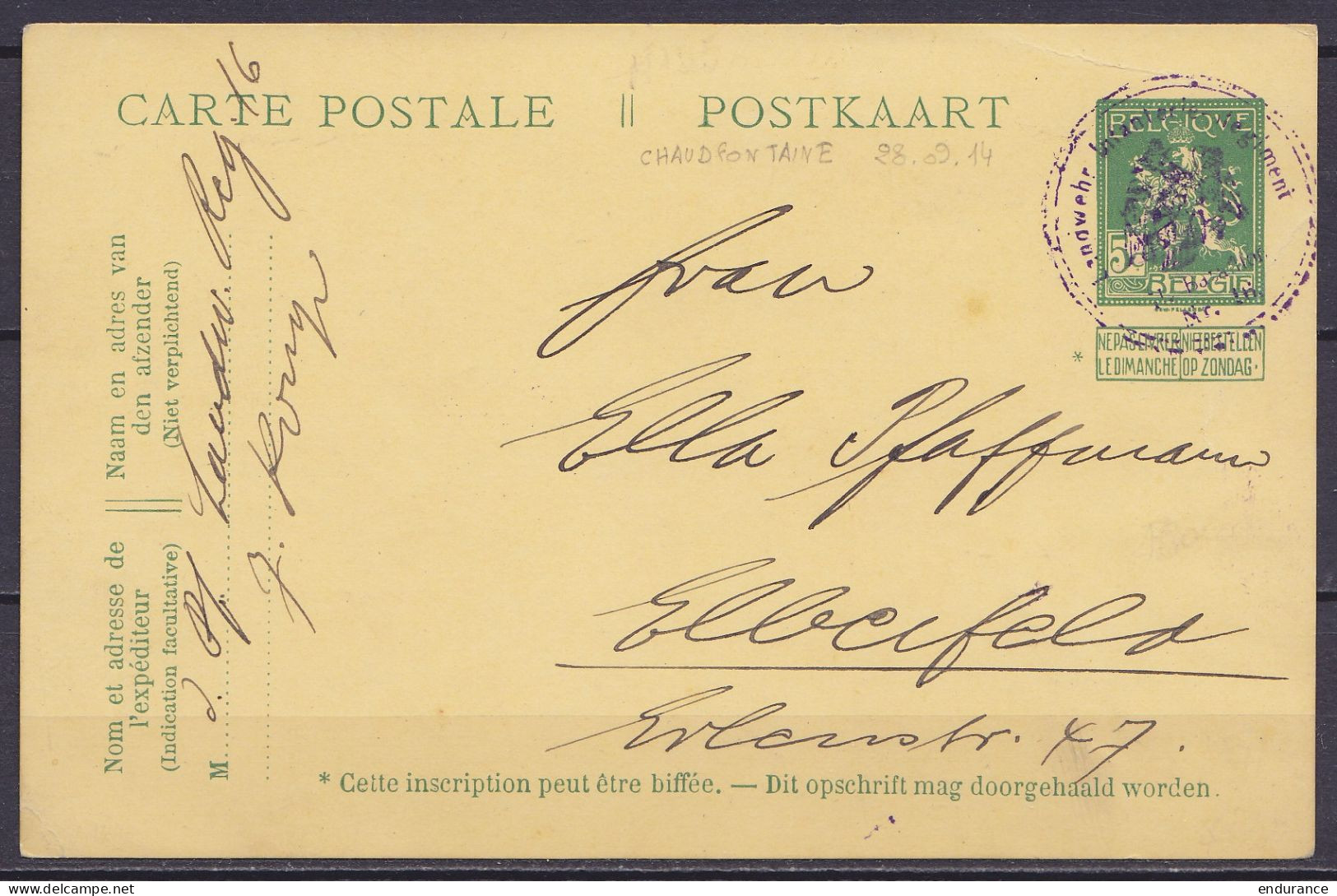 EP CP 5c Vert (N°110) Datée 28/9/1914 De CHAUDFONTAINE Feldpost Càd "Langwehr Infanterie Regiment / II. Bataillon" Pour  - Cartes Postales 1909-1934