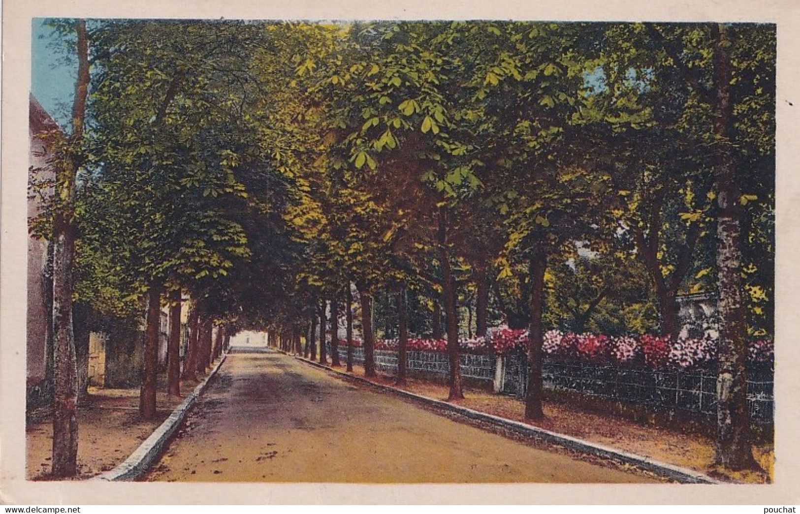 F7-47) LAVARDAC (LOT ET GARONNE) AVENUE DE LA GARE  - ( 2 SCANS ) - Lavardac