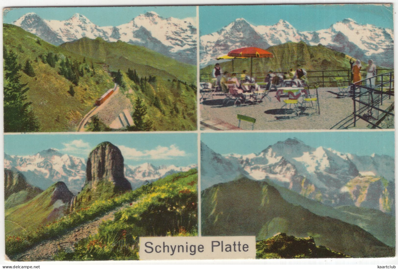 Schynige Platte - (Schweiz/Suisse) - Lauterbrunnen