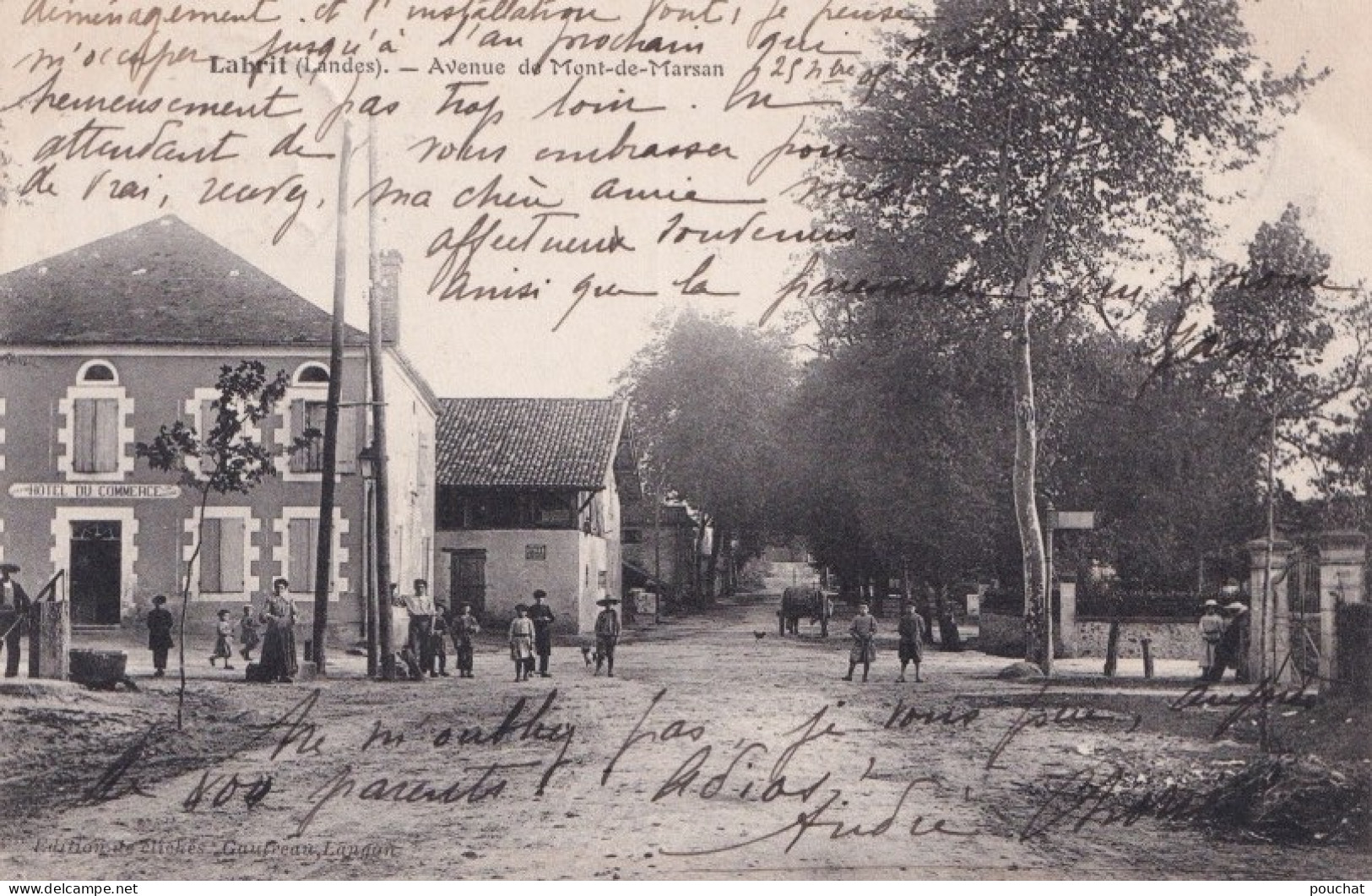 F19-40) LABRIT (LANDES) AVENUE DE MONT DE MARSAN - ANIMEE - HABITANTS  - 1905 - (2 SCANS ) - Labrit