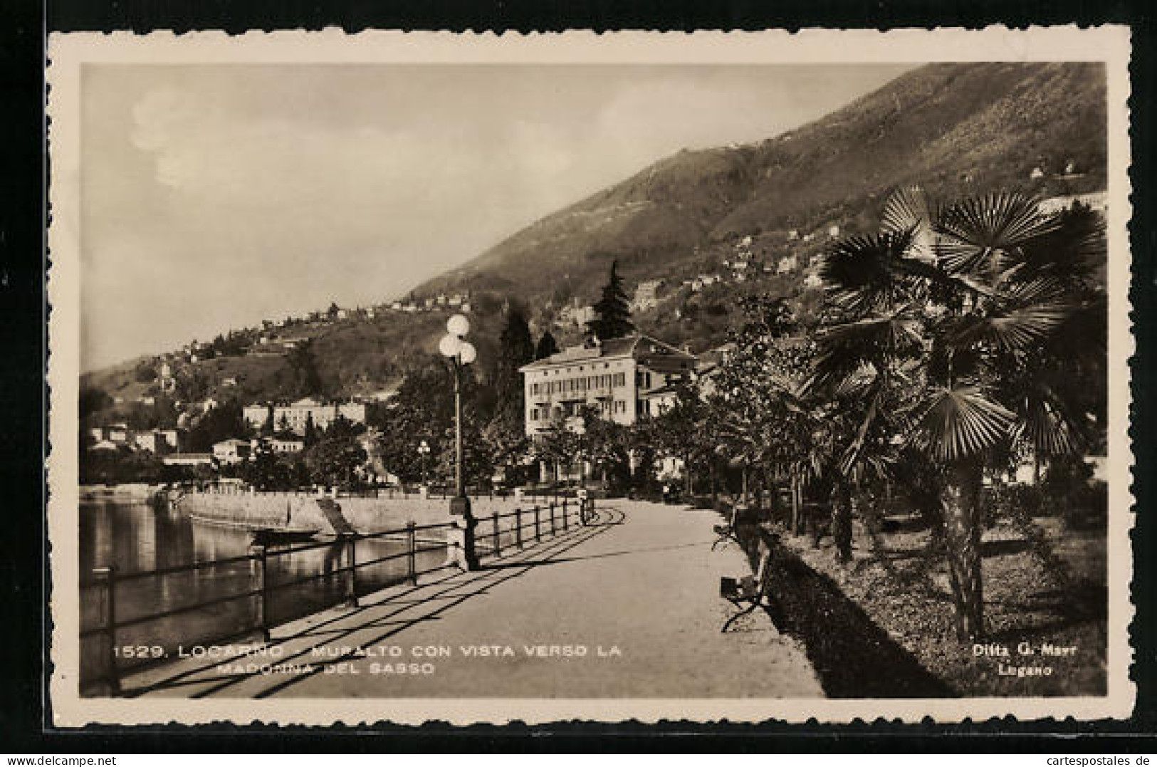 AK Muralto, Con Vista Verso La Madonna Del Sasso  - Muralto