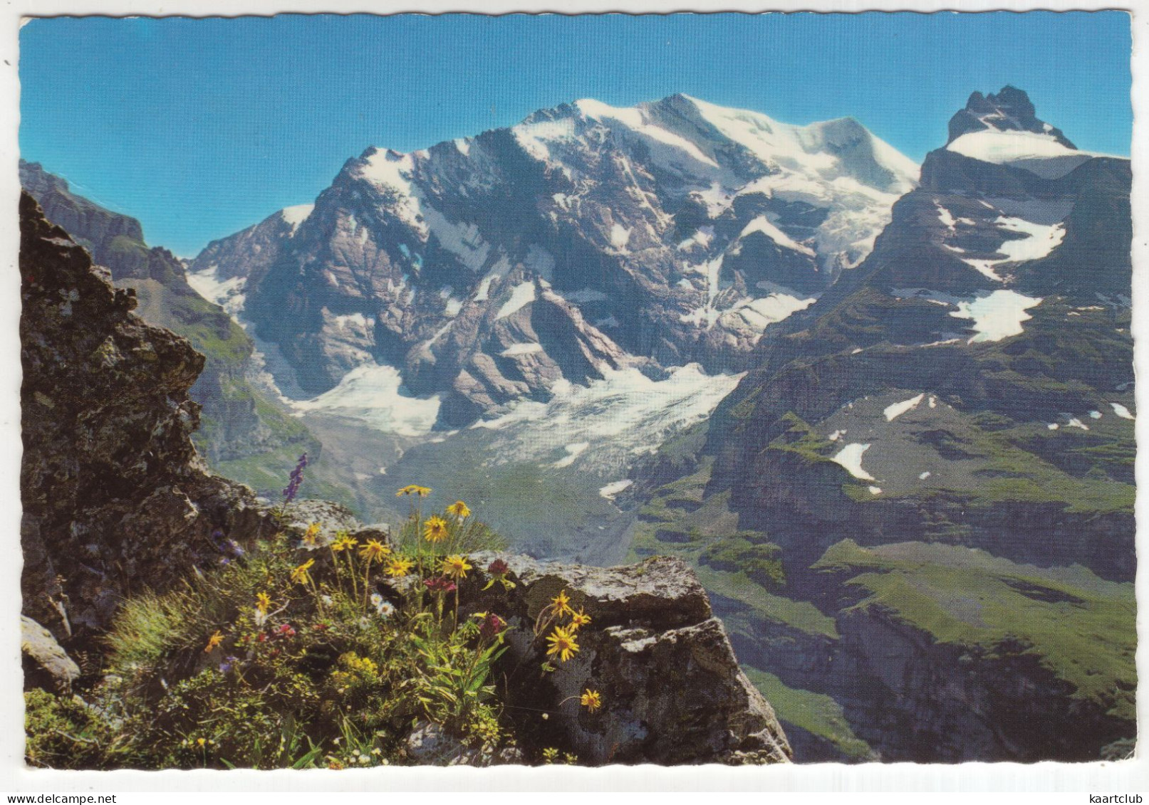 Blumenpracht Bei Dürrenbergalp Im Obern Kiental  - (Schweiz/Suisse) - 1973 - Reichenbach Im Kandertal