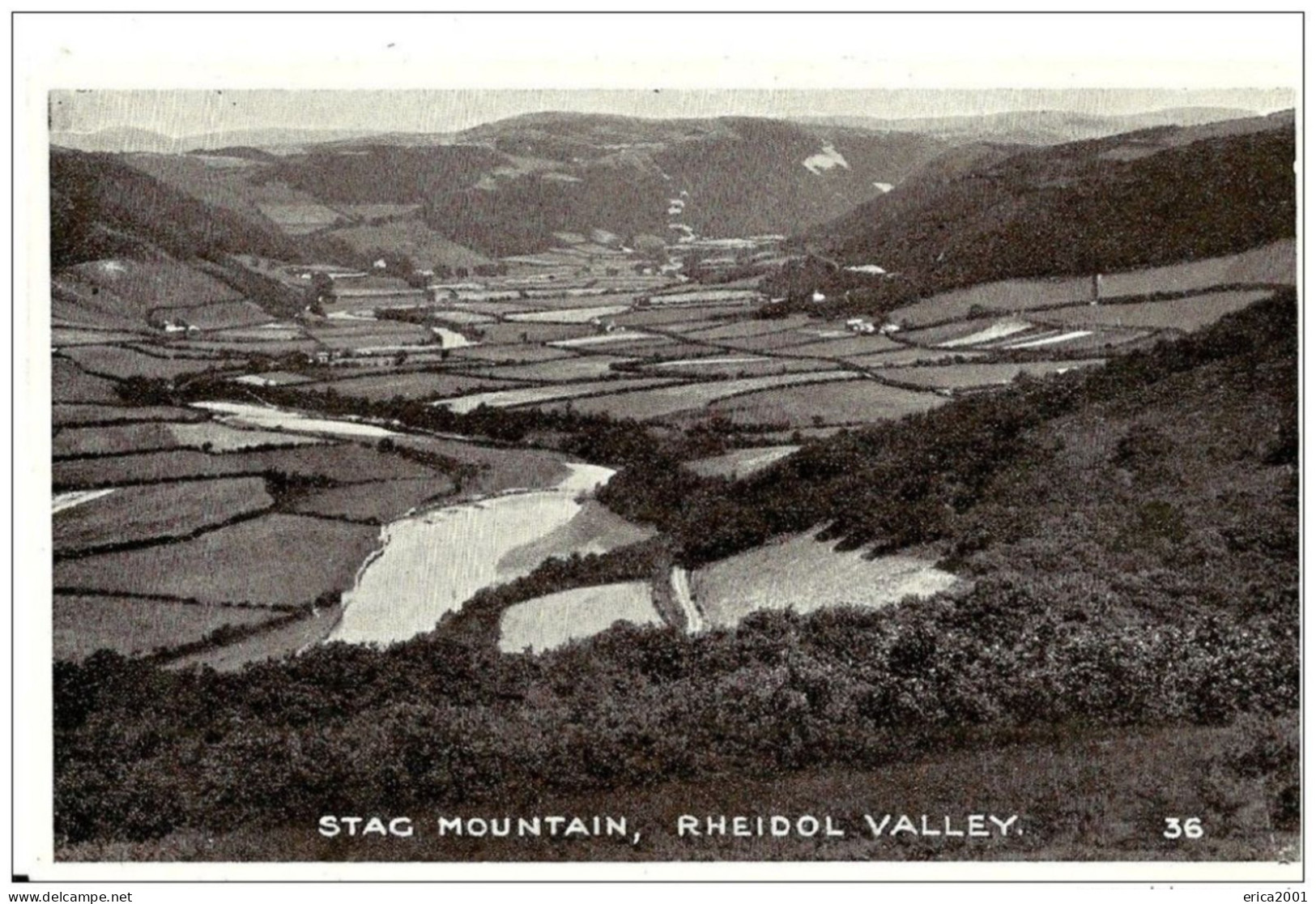 Cardiganshire.Aberystwyth .rheidol Valley,Stag Mountain. - Cardiganshire
