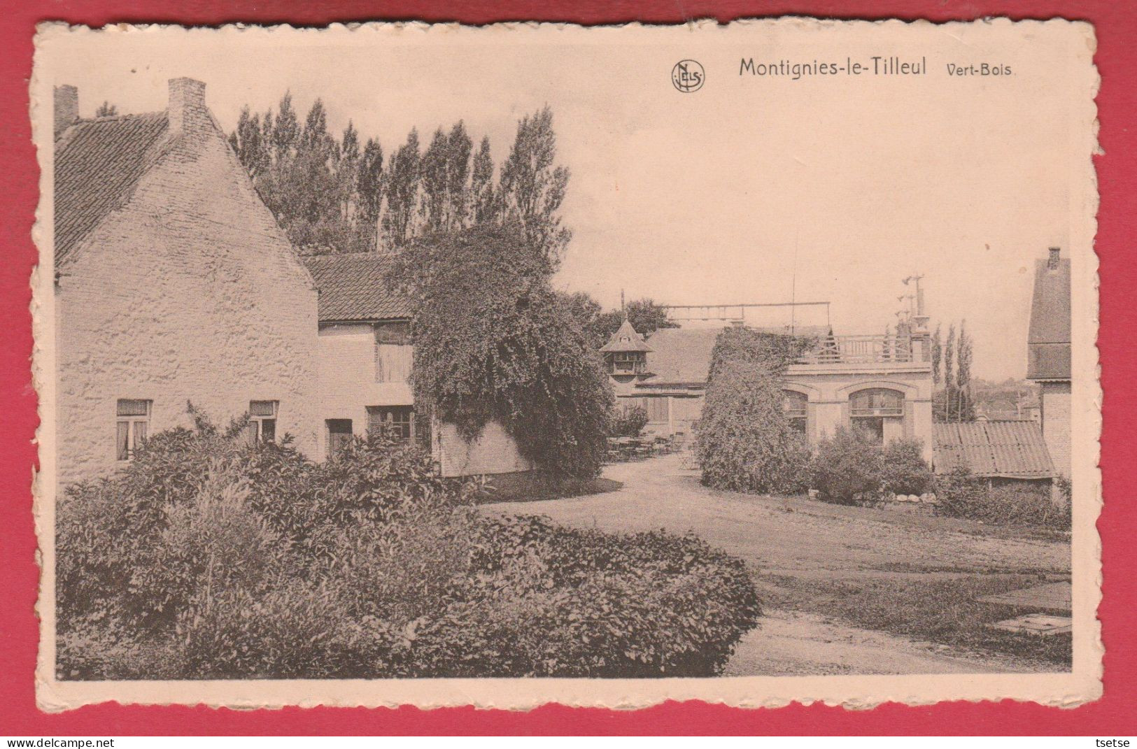 Motignies-le-Tilleul - Vert-Bois ( Voir Verso ) - Montigny-le-Tilleul