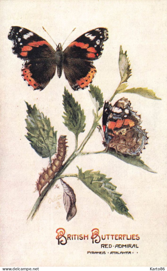 Papillons Et Chenille * CPA Illustrateur Rapahel Tuck& Sons 9497 * British Butterflies * Papillon Butterfly - Vlinders