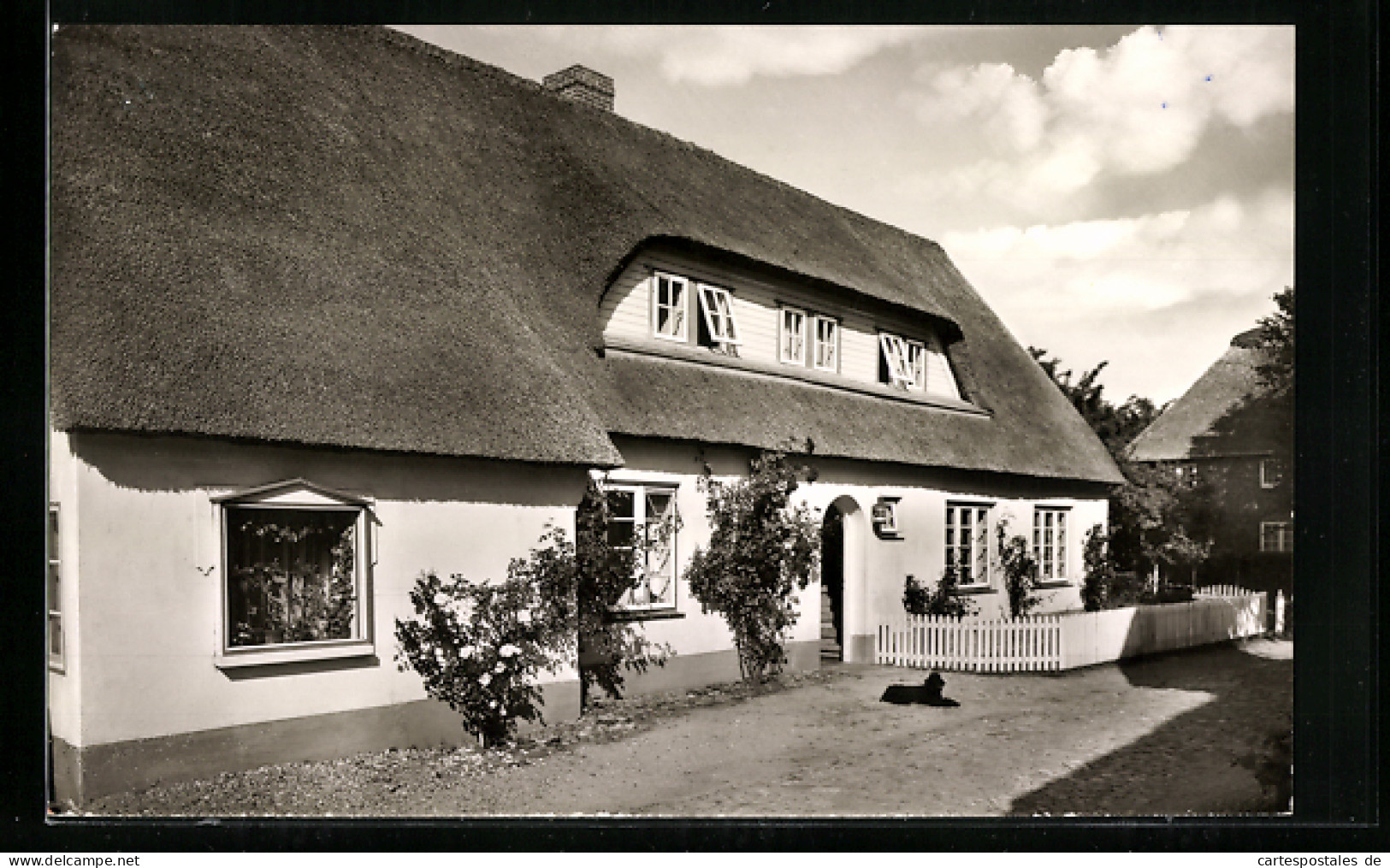 AK Nieblum /Föhr, Haus Muschel  - Föhr