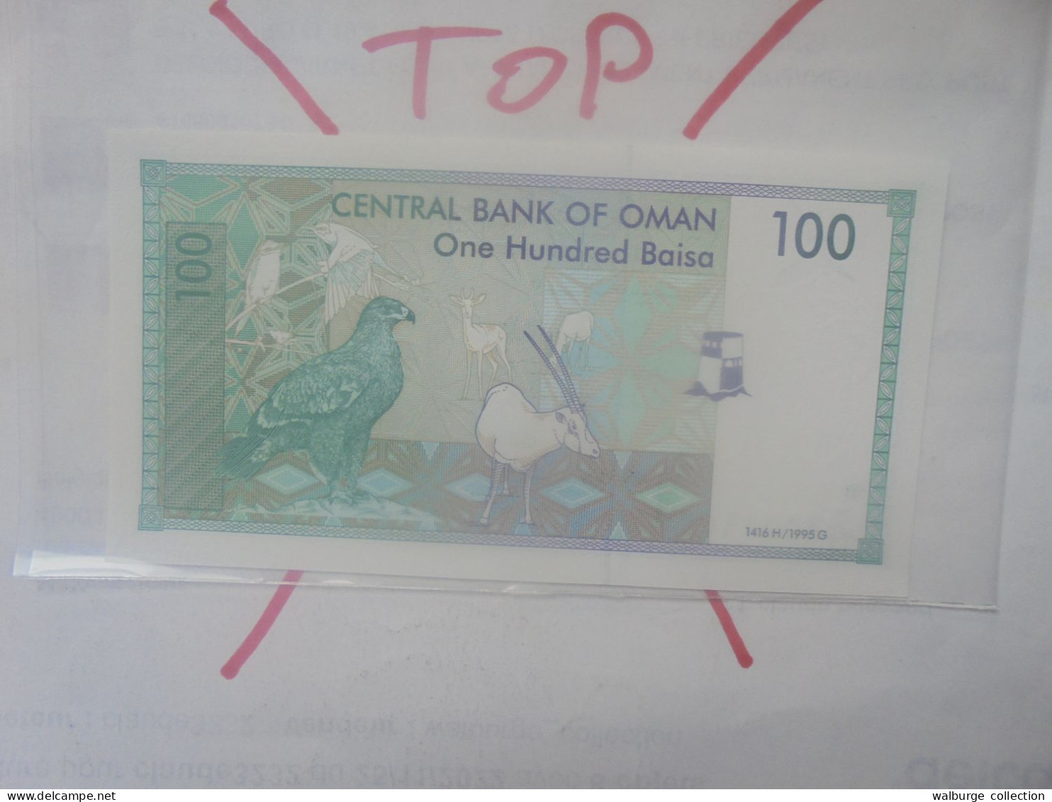OMAN 100 BAISA 1995 Neuf (B.33) - Oman