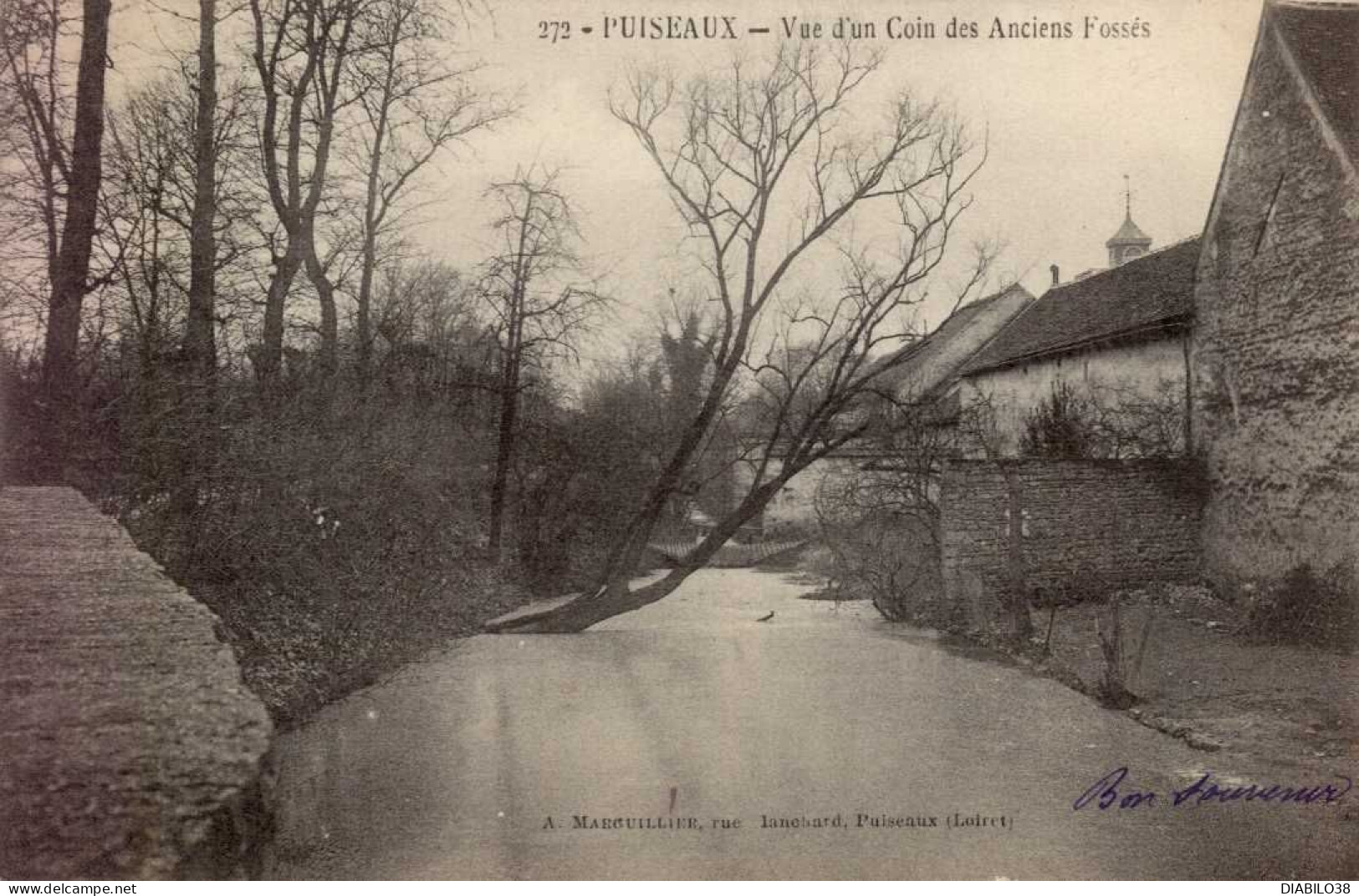 PUISEAUX   ( LOIRET )  VUE D ' UN COIN DES ANCIENS FOSSES - Puiseaux