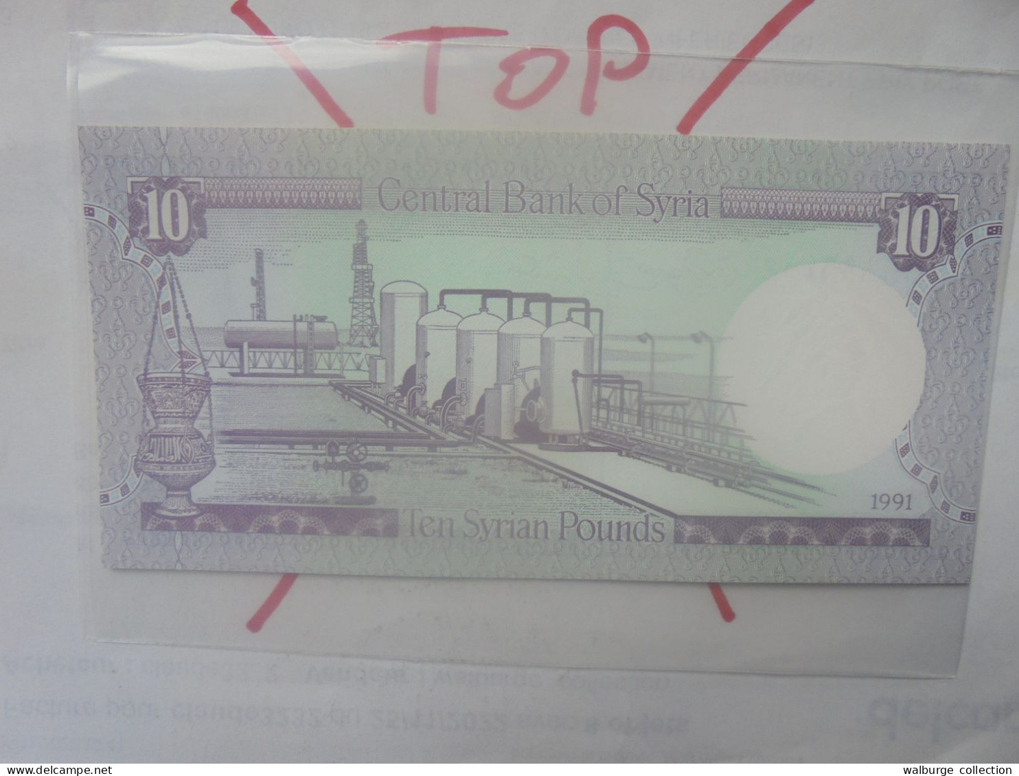 SYRIE 10 POUNDS 1991 Neuf (B.33) - Syria